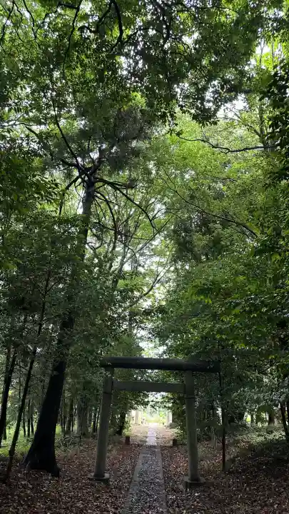春日神社(埼玉県)