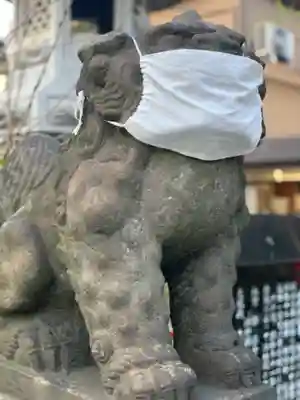 矢向日枝神社の狛犬