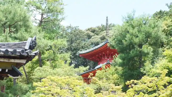 今熊野観音寺(京都府)