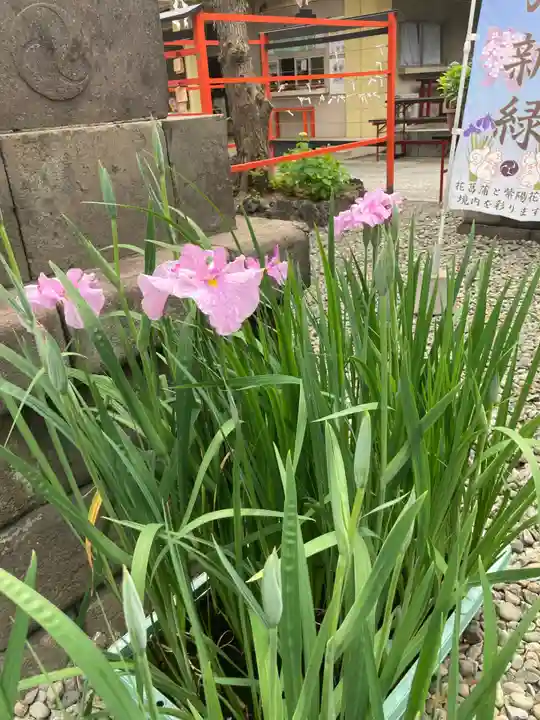 磐井神社(東京都)