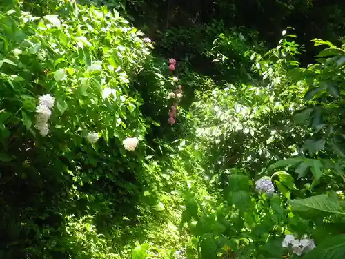 御霊神社の自然
