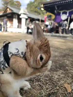 下新倉氷川八幡神社(埼玉県)