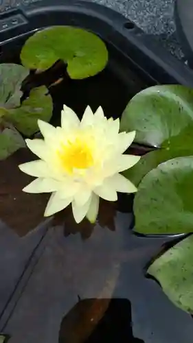 極楽山　浄土寺の自然