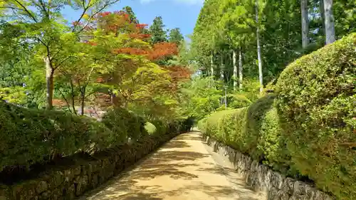 壇上伽藍のその他建物