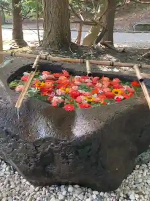 千歳神社の手水舎