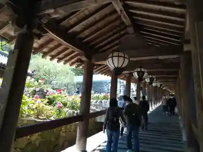 長谷寺(奈良県)