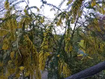 日龍峯寺(高澤観音)(美濃清水)(岐阜県)