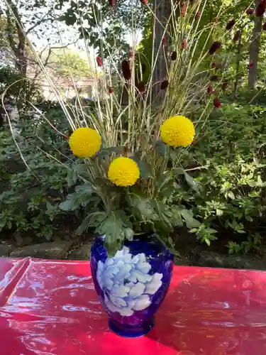 上野東照宮の自然