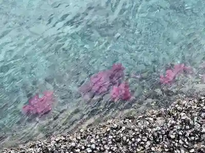 住吉神社(長崎県)