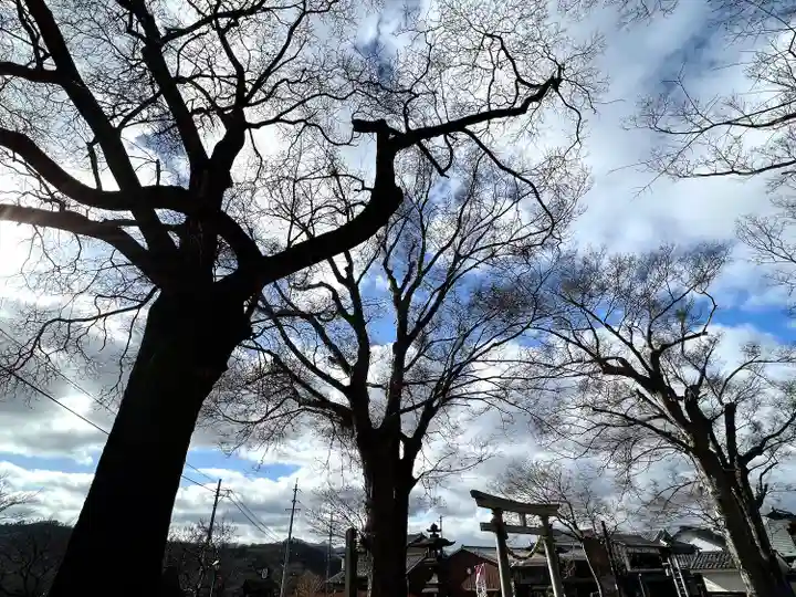白鳥神社(長野県)