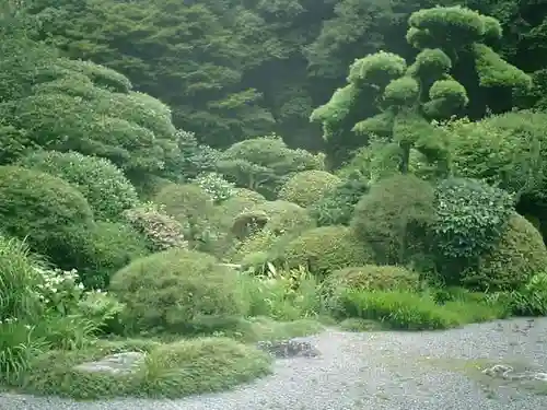 報国寺の庭園