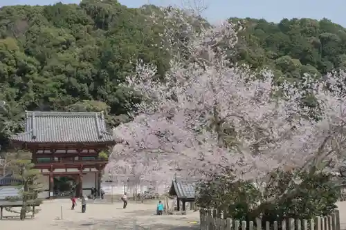 金剛寺のその他建物