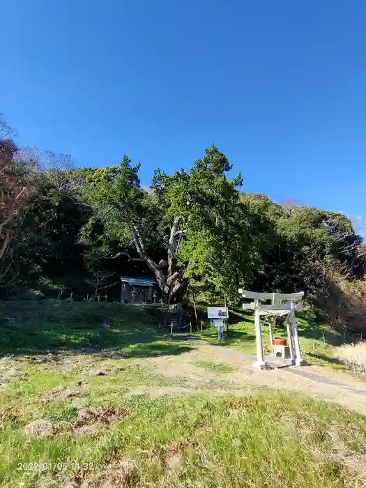 十二天神社の鳥居