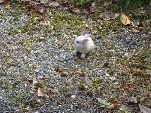 日蓮宗 総本山 塔頭 定林坊(じょうりんぼう)の狛犬