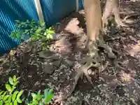 水砂稲荷大明神のその他建物