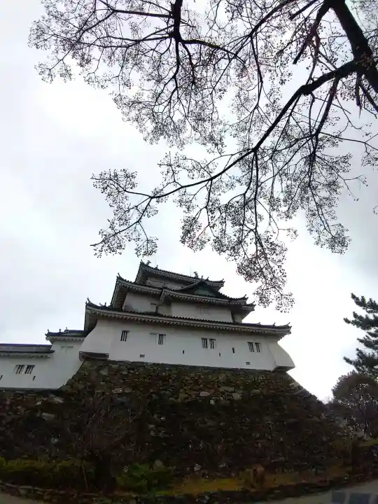 和歌山縣護國神社の{uncategorized: "未分類", other: "その他", undefined: "問題あり", building: "その他建物", grave: "お墓", sacred_gate: "鳥居", guardian: "狛犬", statue: "像", buddha: "仏像", history: "歴史", nature: "自然", garden: "庭園", animal: "動物", pagoda: "塔", temizu: "手水舎", mountain_gate: "山門・神門", sanctuary: "本殿・本堂", subordinate: "末社・摂社", art: "芸術", scenery: "景色", jizo: "地蔵", ema: "絵馬", goshuin: "御朱印", omikuji: "おみくじ", items: "授与品その他", amulet: "お守り", goshuincho: "御朱印帳", eats: "食事", festival: "お祭り", votive_dance: "神楽", shichigosan: "七五三参", wedding: "結婚式", experience: "体験その他", initially: "初詣", around: "周辺", anti_infection: "感染症対策"}