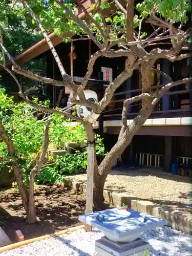 高円寺氷川神社(東京都)