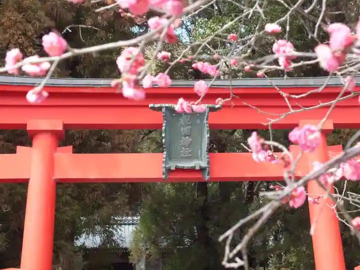 祝田神社の鳥居