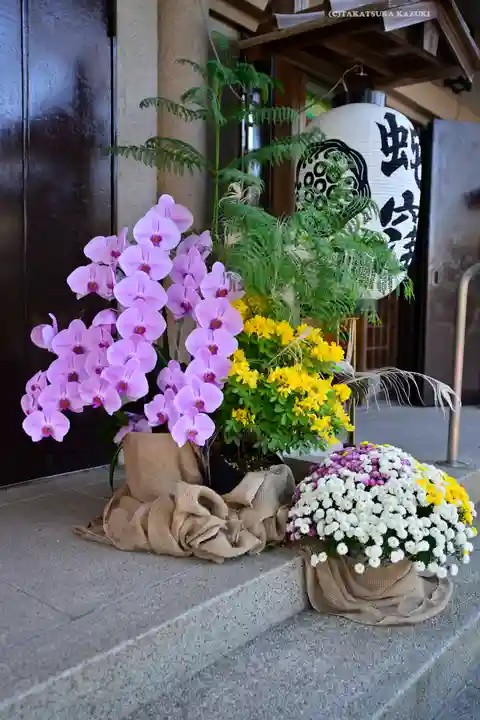 蛇窪神社(東京都)