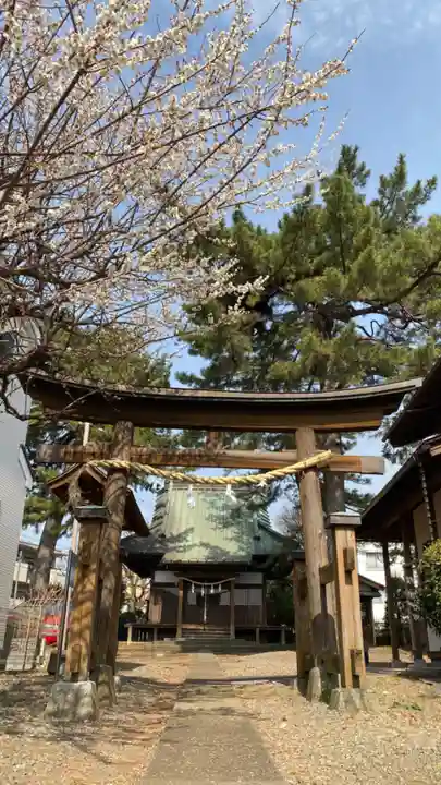 東伏見氷川神社の鳥居