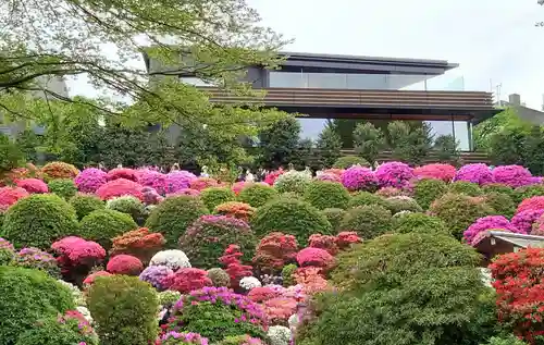根津神社(東京都)