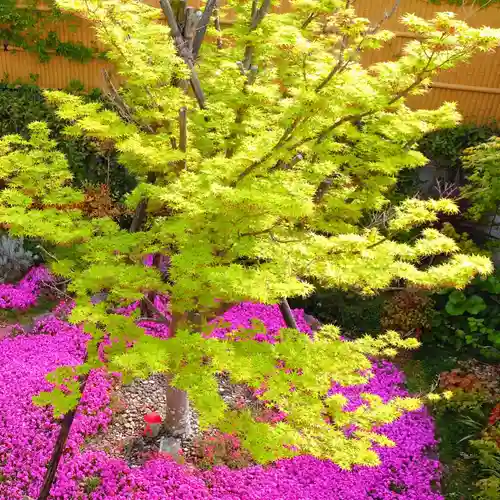 寿量山　速成寺(奈良県)