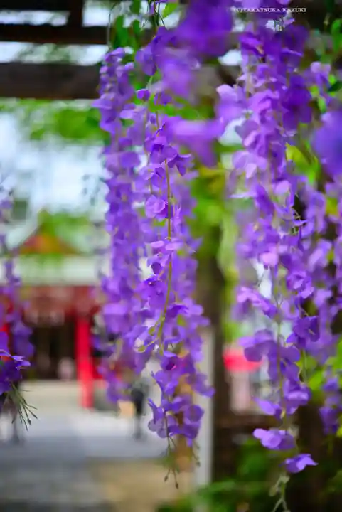 越谷香取神社(埼玉県)