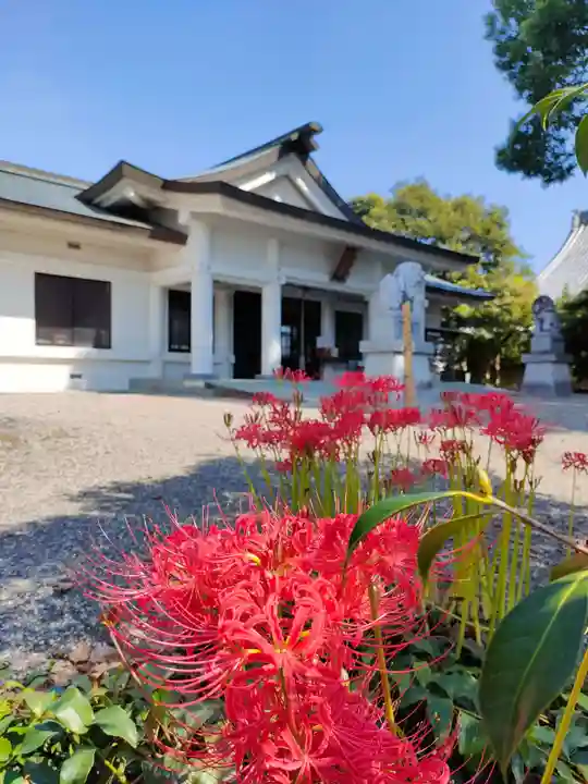 都波岐奈加等神社の自然