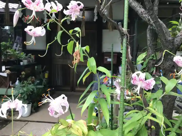 産千代稲荷神社の自然