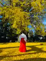 守りの神 藤基神社(新潟県)