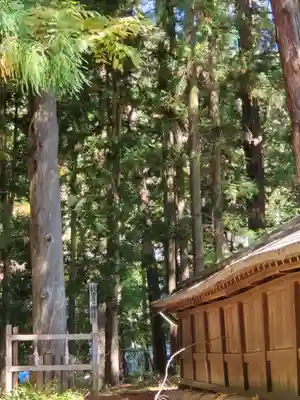 諏訪大社下社秋宮(長野県)