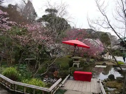 長谷寺の庭園