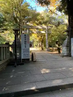 赤坂氷川神社の鳥居