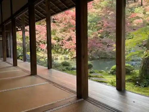 蓮華寺（洛北蓮華寺）の庭園