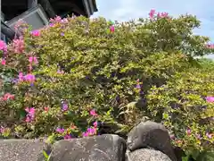 牛窓神社(岡山県)