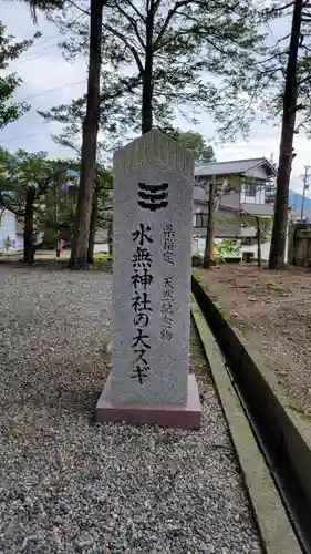 飛驒一宮水無神社(岐阜県)