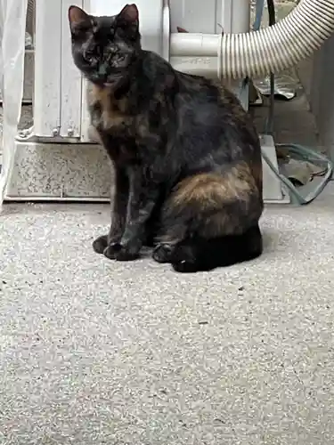 保利神社(大阪府)