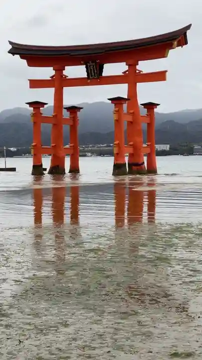 厳島神社(広島県)