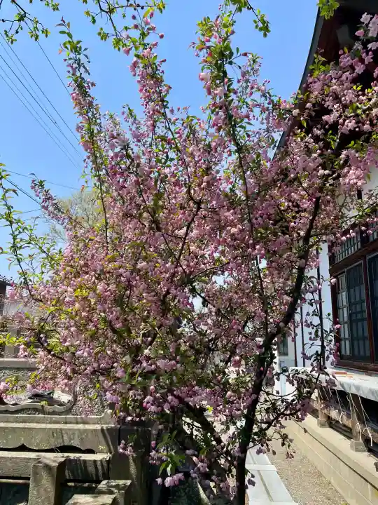 蓮華寺(福島県)