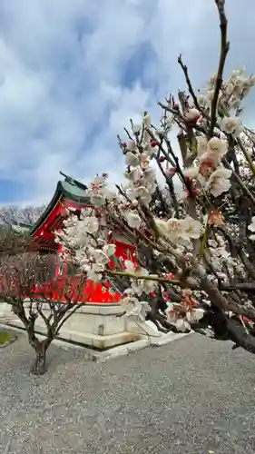 足利織姫神社の自然