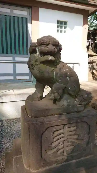 北澤八幡神社の狛犬