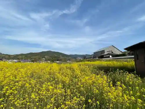 橘寺の景色