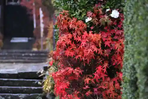 豊景神社の景色