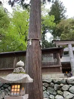 丹生川上神社（下社）(奈良県)