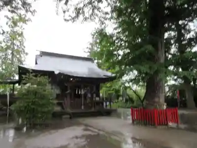 八坂神社(葛生町)(栃木県)