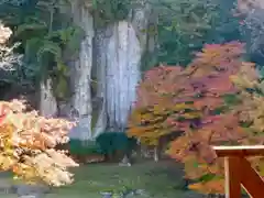 大野寺の庭園