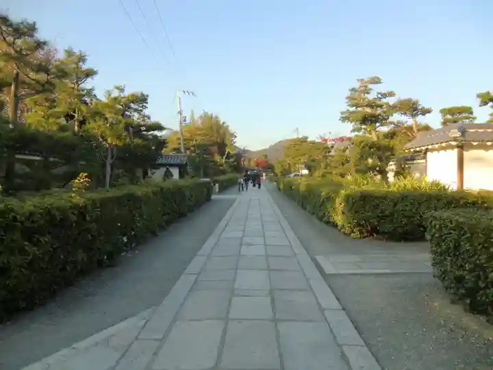 妙心寺(妙心禅寺)(京都府)