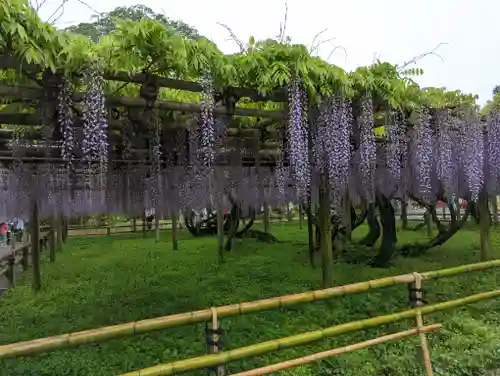 平等院(京都府)