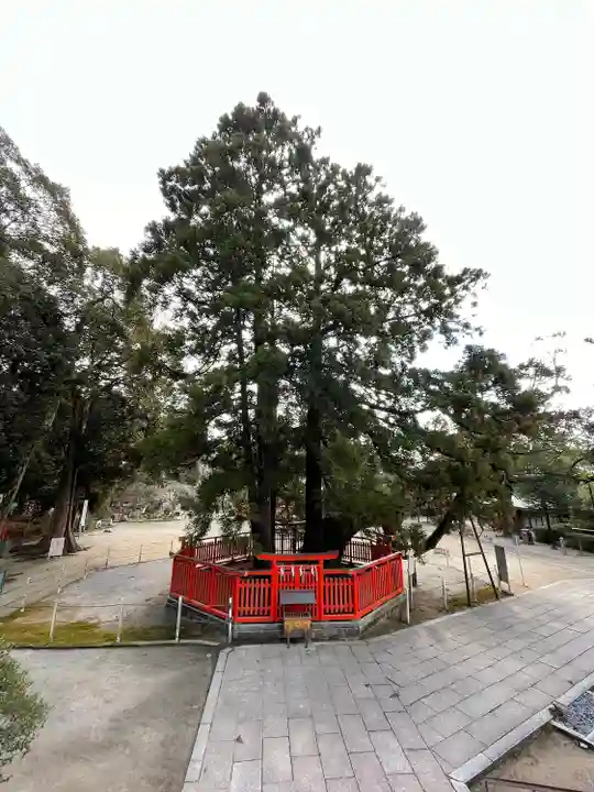 香椎宮(福岡県)