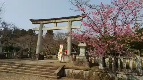 茨城縣護國神社(茨城県)